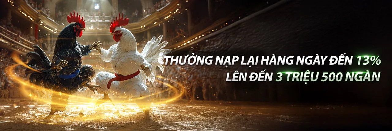 Hình ảnh chủ đạo hợp tác cùng 888to nhà cái